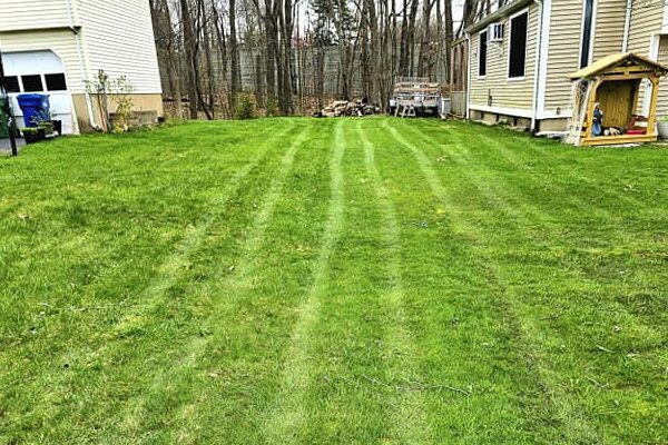 Lawn Mowing Services in Connecticut