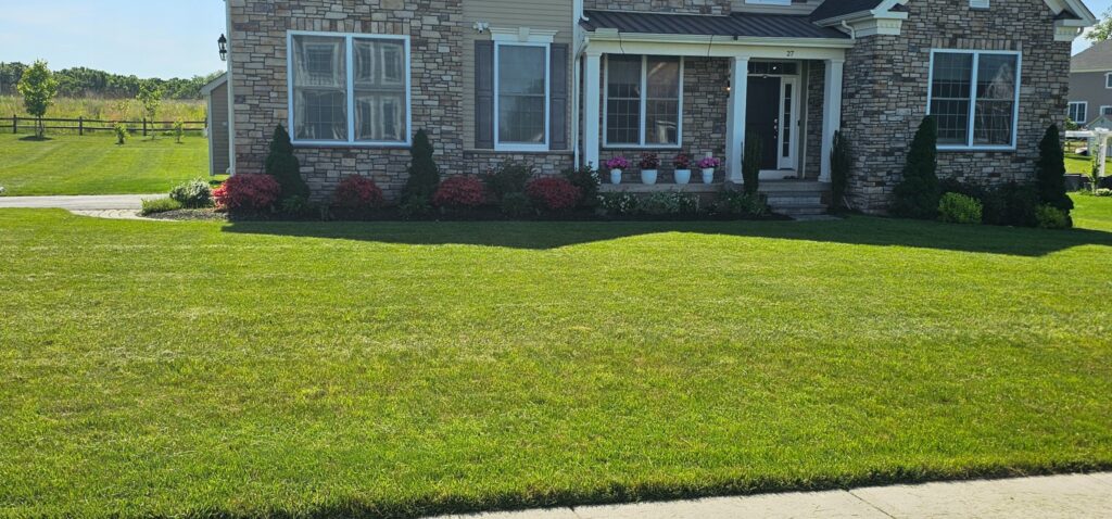 Neatly edged front lawn with trimmed shrubs