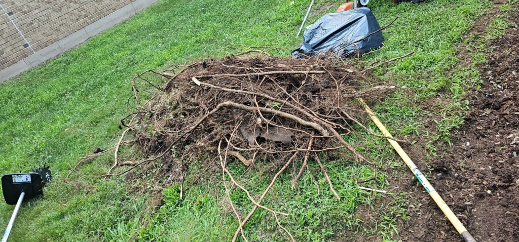 Brush pile and lawn cleanup tools beside a property