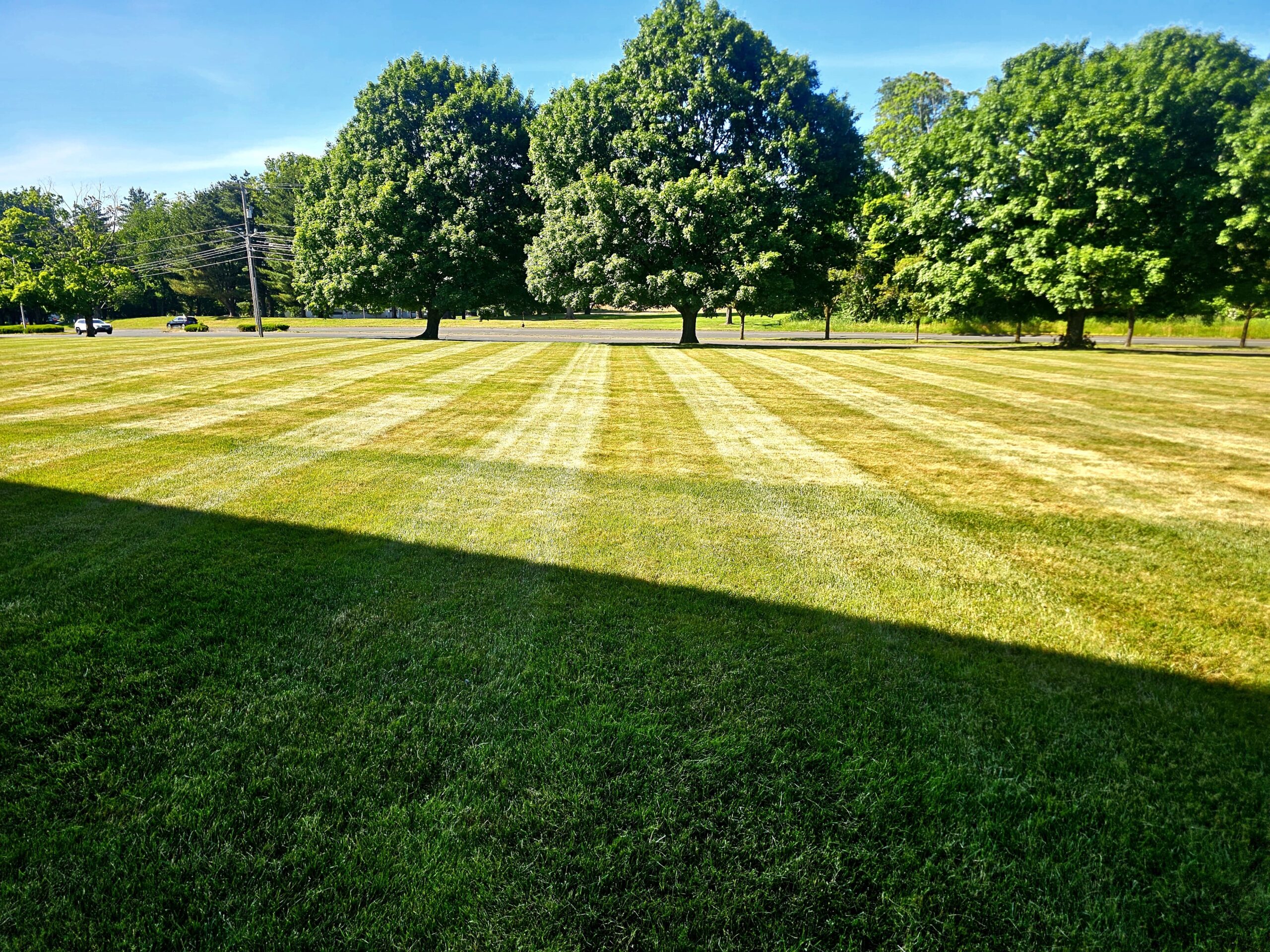 Freshly mowed residential lawn