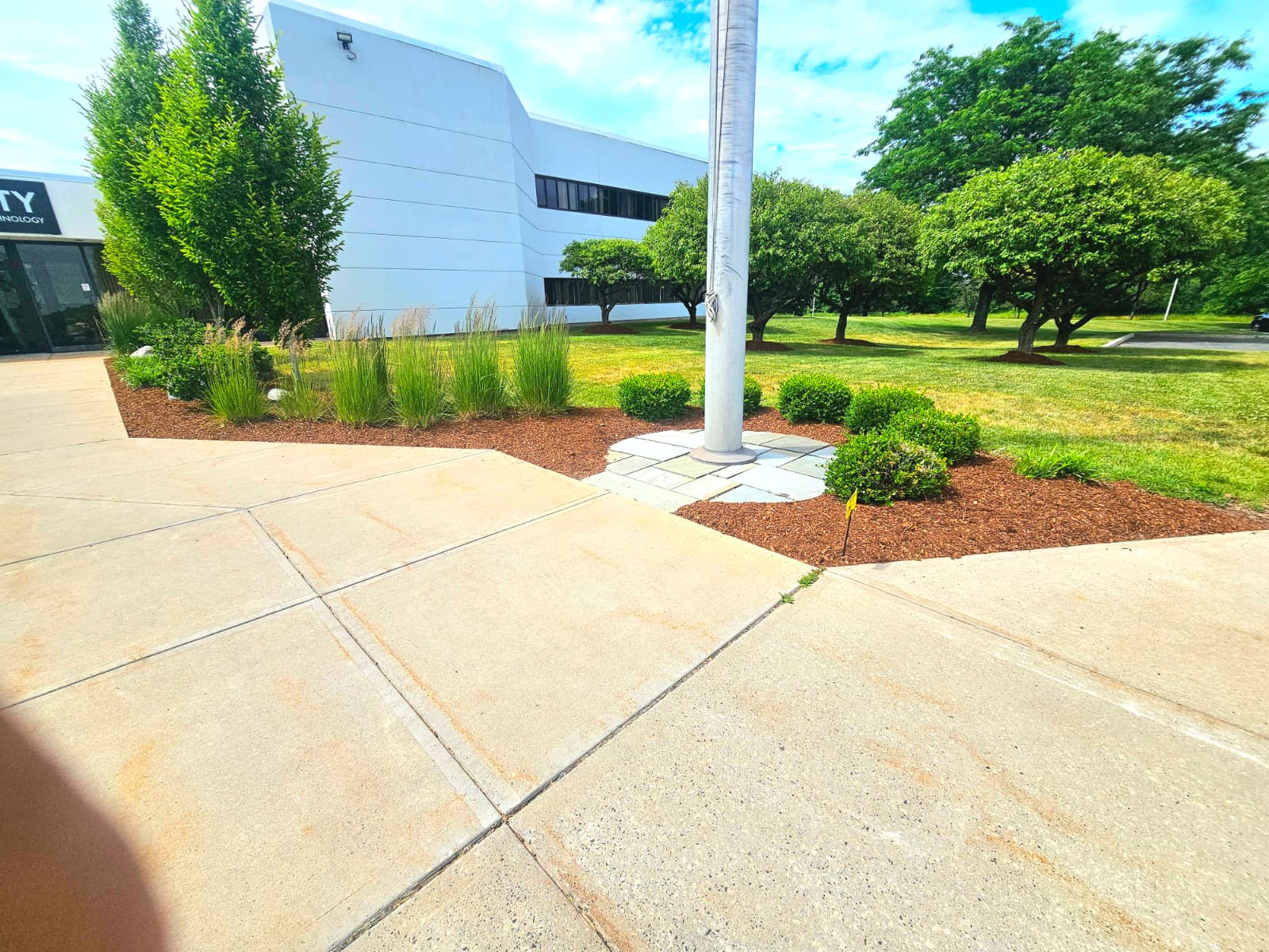 Commercial landscape beds and maintained grounds