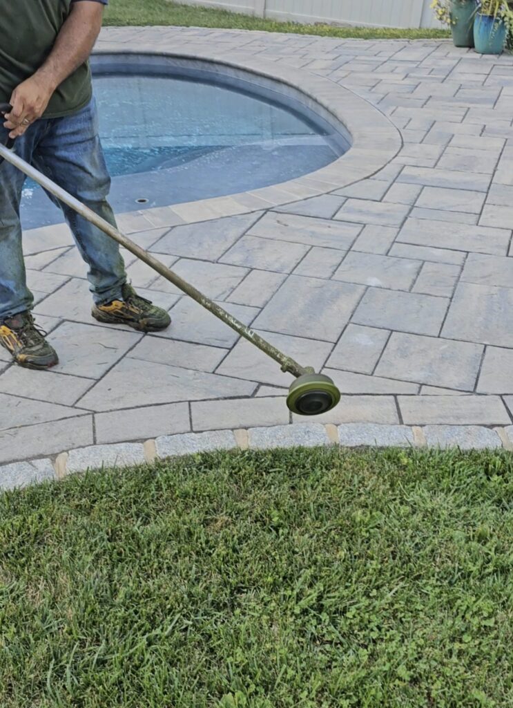 Lawn edging along poolside pavers