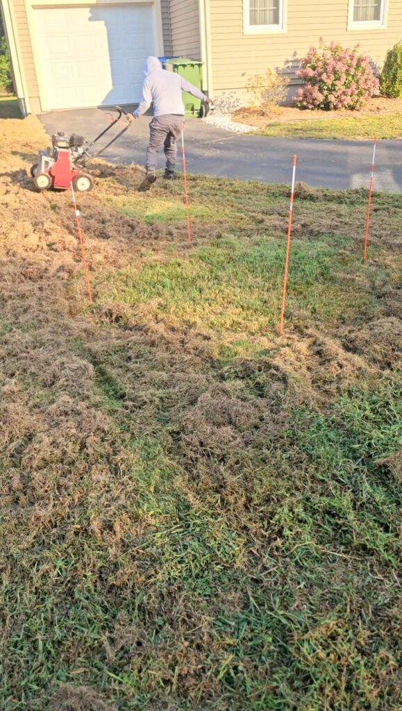 Dethatching machine removing thatch from a lawn
